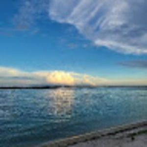 Meet your Posher, Luna